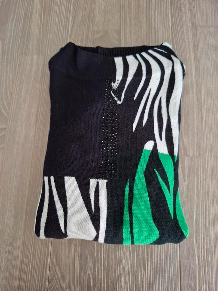 Betty Barclay trui Zwart & Wit & Groen met glitters, Kleding | Dames, Truien en Vesten, Zo goed als nieuw, Maat 42/44 (L), Groen