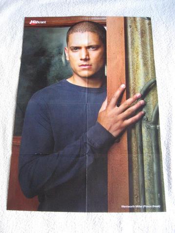 uit Hitkranten jaren 2003-2009 - Posters Wentworth Miller beschikbaar voor biedingen