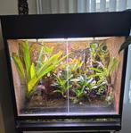 Dendrobaten terrarium, Ophalen, Zo goed als nieuw