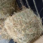 hooi, Dieren en Toebehoren, Dierenvoeding, Ophalen, Vee