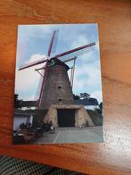 276 zorgvlietmolen molenbeersel molen, Verzamelen, Ansichtkaarten | België, Ophalen of Verzenden