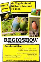 Vogelshow Nijkerk Tentoonstelling De Vogelvriend, Dieren en Toebehoren, Meerdere dieren, Parkiet