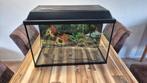 Compleet aquarium 60x30x38, Ophalen, Zo goed als nieuw, Gevuld zoetwateraquarium