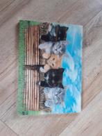'Bewegende' katjes wanddecoratie, Ophalen of Verzenden, Zo goed als nieuw