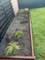 Grote Cortenstaal Plantenbak - 590x120x25cm, Minder dan 30 cm, 100 cm of meer, Nieuw, Ophalen of Verzenden