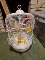 Vogelkooi, Dieren en Toebehoren, Ophalen, Gebruikt, Vogelkooi