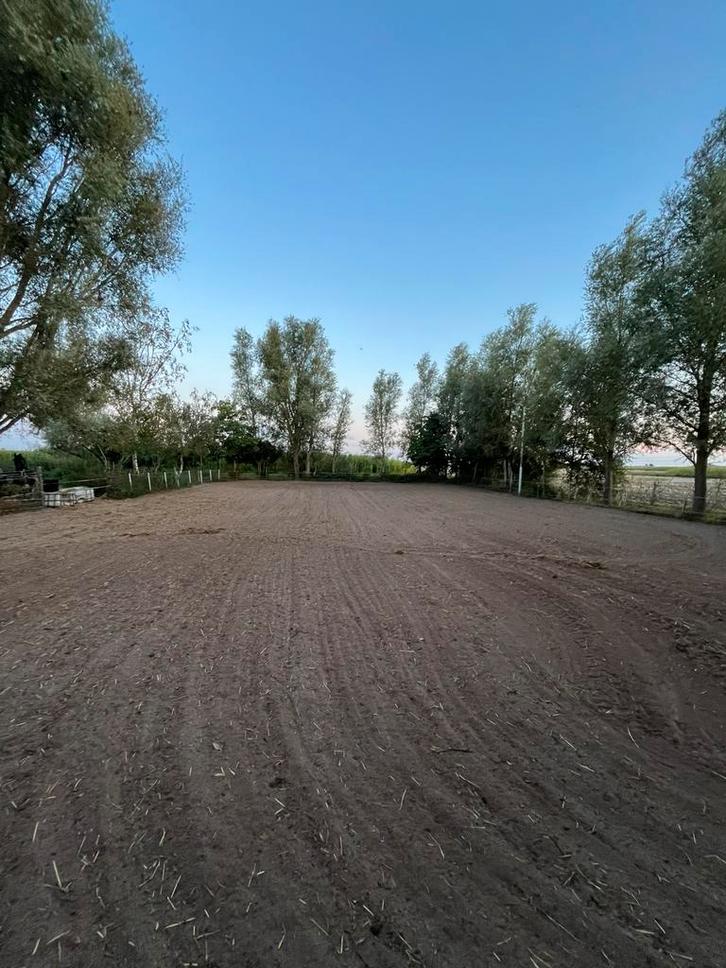 Stalling vrij Heerenveen, Dieren en Toebehoren, Stalling en Weidegang, Stalling