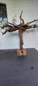 Leuke druiventak tak op stam, Ophalen of Verzenden, Gebruikt