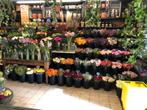 Bloemenwinkel over te nemen - Goede locatie!, Zakelijke goederen, Exploitaties en Overnames