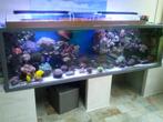Gratis lek Aquarium 2.50x60x70, Dieren en Toebehoren, Vissen | Aquaria en Toebehoren, Ophalen, Gebruikt, Leeg aquarium