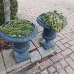 Gietijzeren Vazen met Huislook, Tuin en Terras, Ophalen, Gebruikt