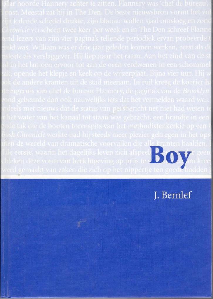 J. Bernlef - Boy / GROTE LETTER / GROOTLETTER nederlands., Boeken, Literatuur, Zo goed als nieuw, Ophalen of Verzenden
