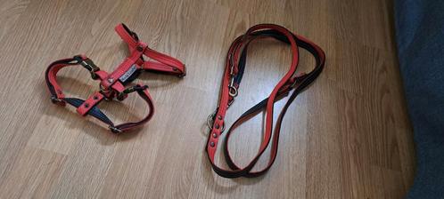 Meola leather tuig + lijn, Dieren en Toebehoren, Hondenriemen, Gebruikt, Ophalen of Verzenden