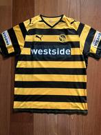 Voetbalshirt BSC Young Boys, geel/zwart, maat L, Maat L, Ophalen of Verzenden, Zo goed als nieuw, Shirt