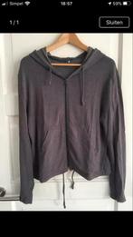 Vest grijs maat S 95% viscose., Ophalen of Verzenden, Zo goed als nieuw, Maat 36 (S), Grijs