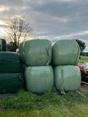 Te koop ronde balen beschikbaar voor biedingen