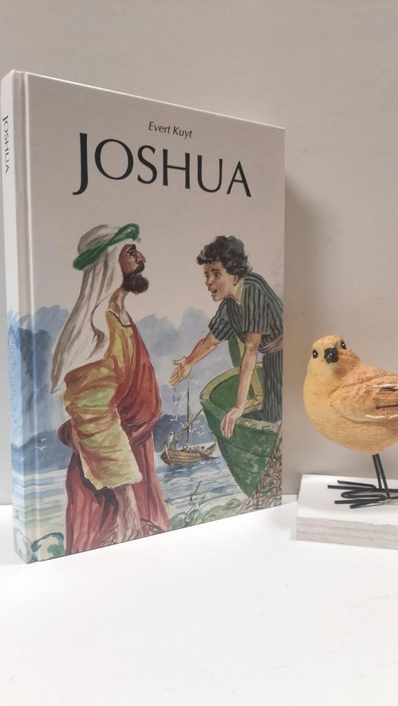 Kuijt, Evert; Joshua, Boeken, Kinderboeken | Jeugd | 10 tot 12 jaar, Gelezen, Ophalen of Verzenden