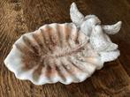 Vogeldrinkbak beton 29 x 18 cm in goede staat € 7,50, Tuin en Terras, Vogelhuisjes en Vogelbaden, Ophalen of Verzenden, Gebruikt