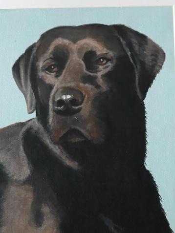 schilderij hond zwarte Labrador. Liz Casling. Gesigneerd.    beschikbaar voor biedingen
