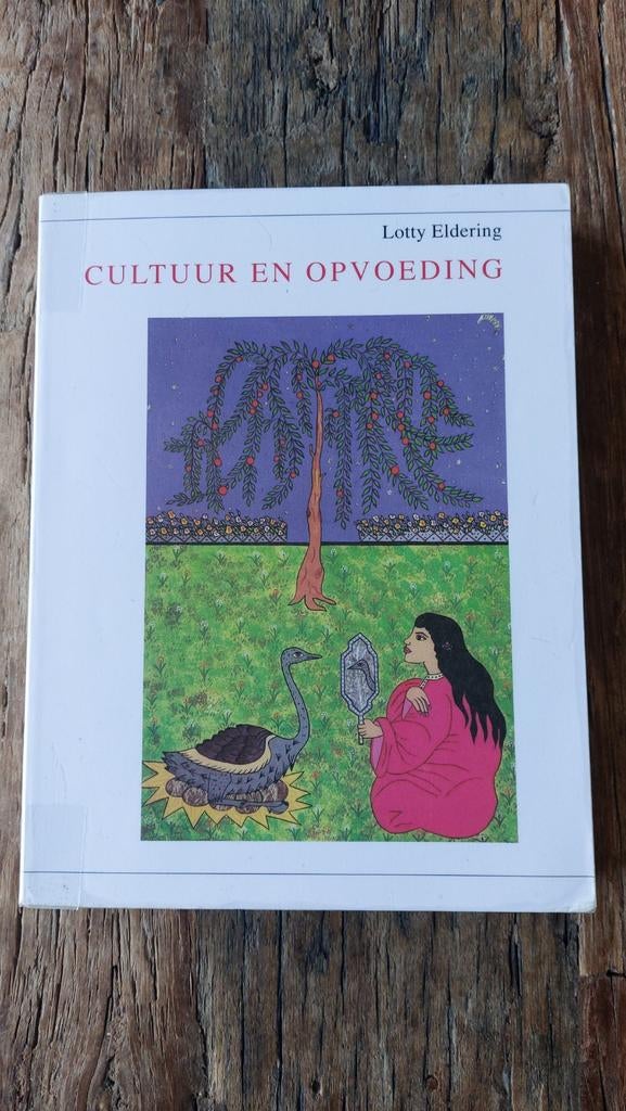 Cultuur en opvoeding, Ophalen of Verzenden, Beta, Zo goed als nieuw, HBO