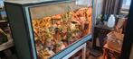 Terrarium 125x47x80, Ophalen, Zo goed als nieuw, Terrarium of Paludarium