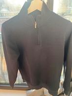 Cavallaro Napoli trui, Blauw, Ophalen of Verzenden, Gedragen, Maat 46 (S) of kleiner