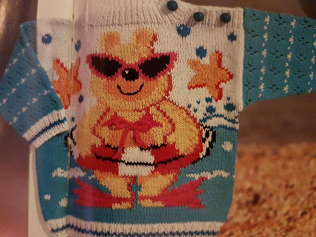 Zwembeer trui breipatroon, Ophalen of Verzenden, Zo goed als nieuw, Breien, Patroon of Boek