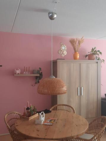 Rotan rieten bamboe hanglamp 