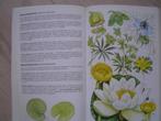 Bloemengids  Flora, Boeken, Verzenden, Zo goed als nieuw, Bloemen, Planten en Bomen