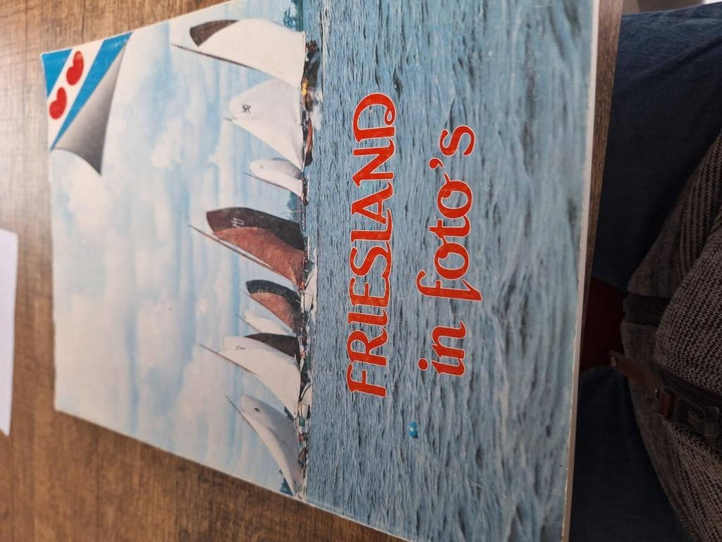 Friesland in foto's, Ophalen of Verzenden, 20e eeuw of later, Zo goed als nieuw, Arjen Terpstra