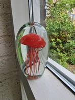 Grote glazen presse-papier met kwal design – 12,5 cm, Antiek en Kunst, Antiek | Glas en Kristal, Ophalen of Verzenden