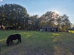Paddock/weide, schuilstal, binnenbak in Zundert, Dieren en Toebehoren, Weidegang
