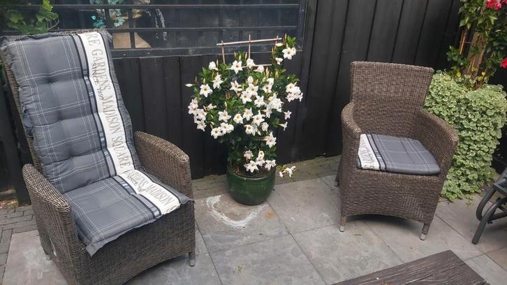 Tuinkussenset 4x zitkussen hoge rug en 2x zitkussen, Tuin en Terras, Tuinmeubel-accessoires, Zo goed als nieuw, Ophalen