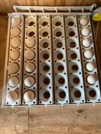 Broedeieren Hollandse kriel, Dieren en Toebehoren, Ophalen of Verzenden, Zo goed als nieuw, Overige typen