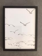 IKEA Ribba zwarte fotolijst meeuwen poster z.g.a.n. GRATIS, Ophalen of Verzenden, Zo goed als nieuw