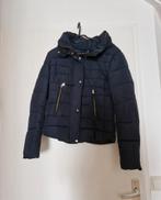 Bershka winterjas donkerblauw maat s 36 jas winter, Ophalen of Verzenden, Zo goed als nieuw, Maat 36 (S), Blauw