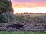 Scharrelvlees /Mangalica / varkensvlees, Ophalen