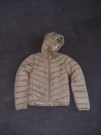 Clockhouse Donsjack Groen Maat 34, Kleding | Dames, Ophalen of Verzenden, Zo goed als nieuw, Clockhouse, Maat 34 (XS) of kleiner