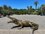 Brons - Goud kleurig krokodil beeld te koop