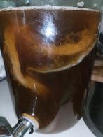 kombucha zwam / scoby, Diversen, Levensmiddelen, Ophalen