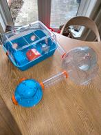 Hok voor kleine knaagdieren, bijv. dwerghamsters, Gebruikt, Minder dan 75 cm, Muis, Hok