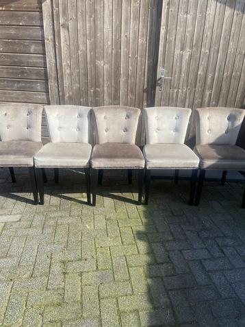 5 Rofra Stoelen - Grijs, Stof & Hout beschikbaar voor biedingen