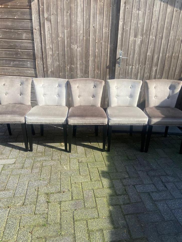 5 Rofra Stoelen - Grijs, Stof & Hout, Huis en Inrichting, Stoelen, Zo goed als nieuw, Vijf, Zes of meer stoelen, Hout, Grijs, Ophalen