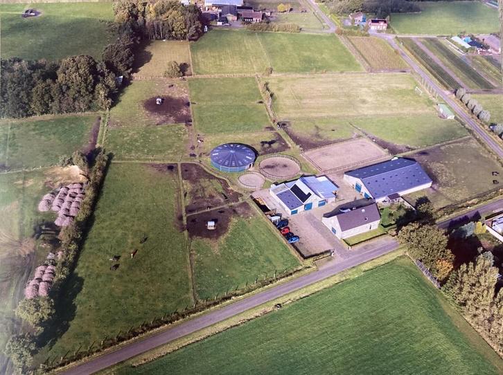 Vakantie met je paard. paard en bed, Dieren en Toebehoren, Stalling en Weidegang, Stalling, Weidegang