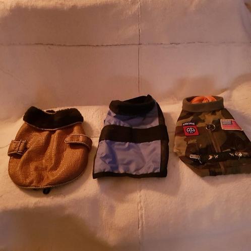 Nieuwe hondenkleding / kattenkleding, Dieren en Toebehoren, Hondenkleding, Zo goed als nieuw, Ophalen of Verzenden