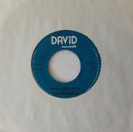 The Evergreens       Rockin Girl / White River Rock, Ophalen of Verzenden, Gebruikt, 7 inch, Single