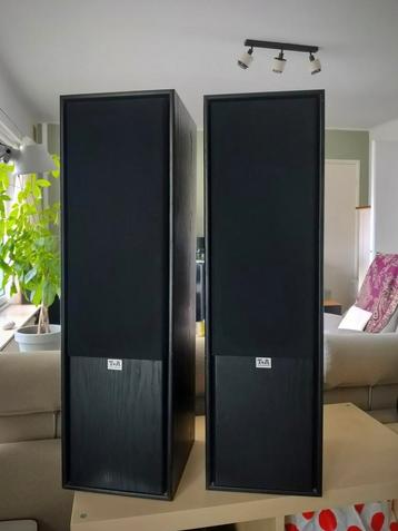 T+A Triton TS1 (high-end) speakers  beschikbaar voor biedingen