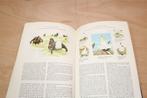 Het Beste Vogelboek — ANWB — Rijk Geïllustreerd, Ophalen of Verzenden, Gelezen, Vogels