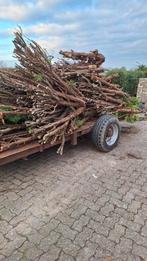 Gratis brandhout, Tuin en Terras, Haardhout, 3 tot 6 m³, Ophalen, Overige houtsoorten, Stammen