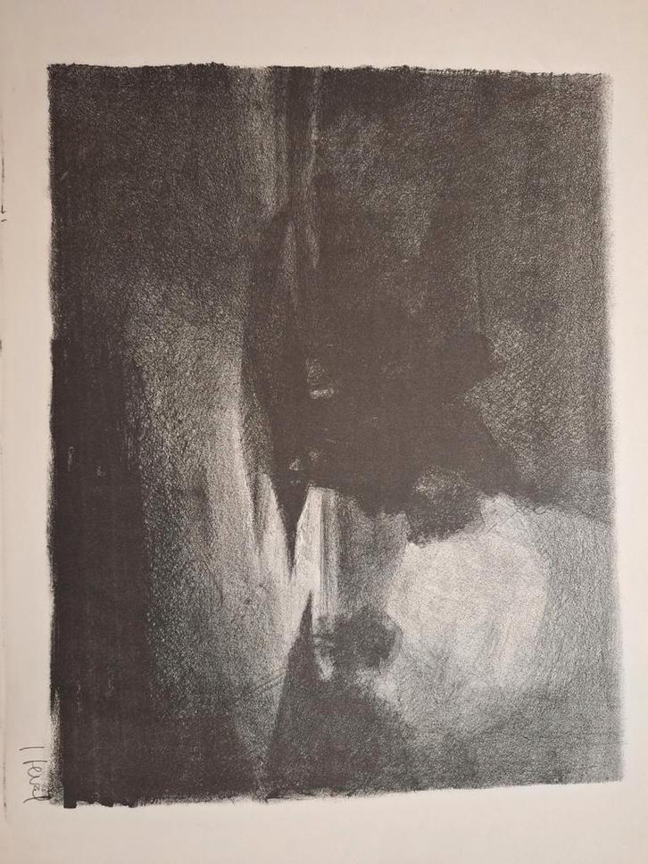 Litho Boslandschap in Mist, Antiek en Kunst, Kunst | Tekeningen en Foto's, Ophalen of Verzenden